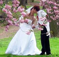 weddings